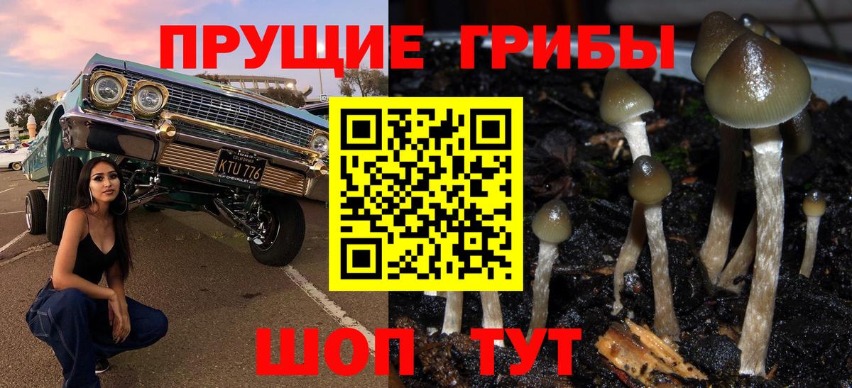 наркошоп  Галлюциногенные грибы мухоморы  Миллерово  Вход с VPN  Галлюциногенные грибы мухоморы 