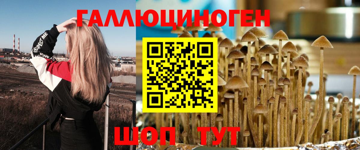 Псилоцибиновые грибы мухоморы Миллерово